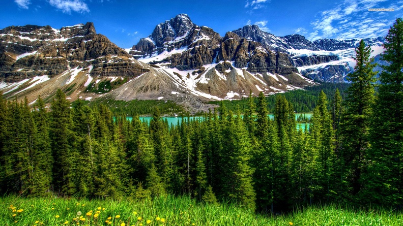 Spring mountains, trees, grass, lake